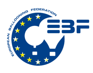 Vice President EBF