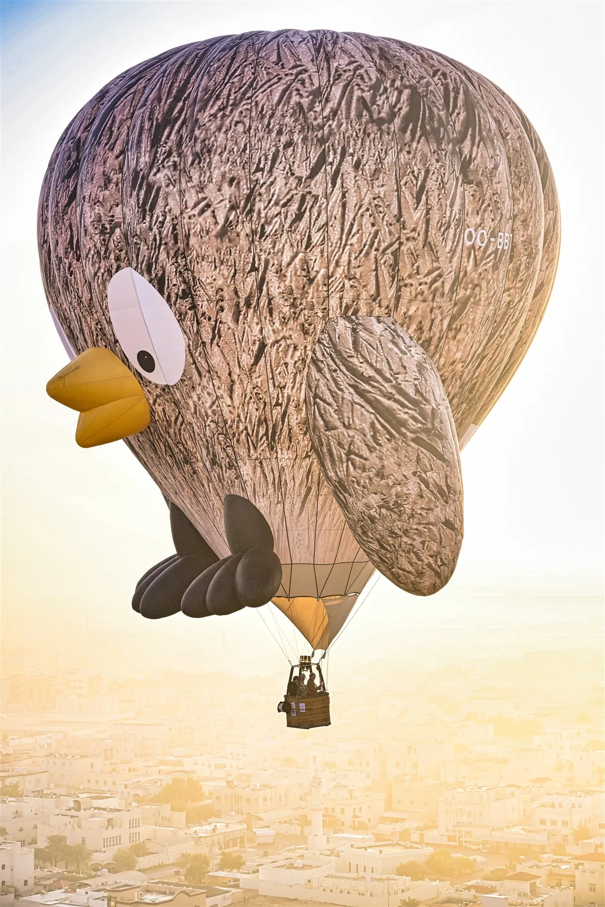 De Dimitri Luchtballon