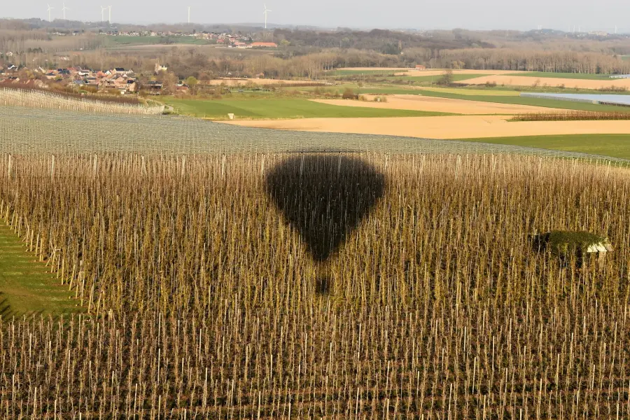 Ballonvaart Limburg & Haspengouw