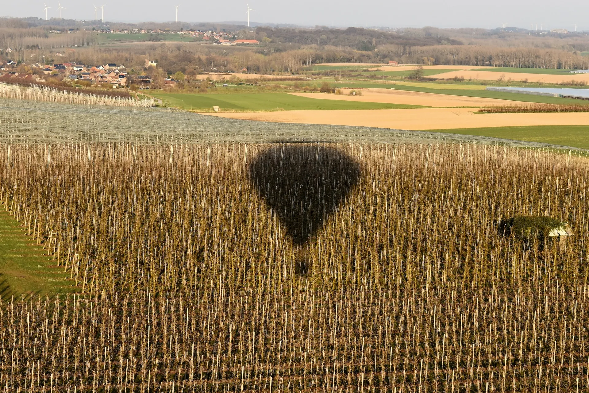 Ballonvaart Limburg