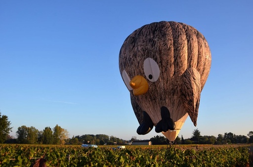 Privé ballonvaart in de Kempen